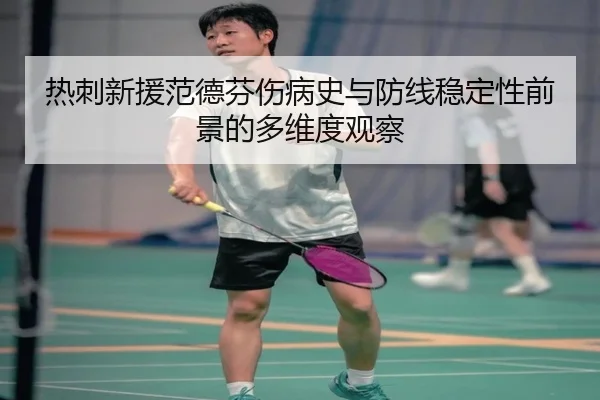 热刺新援范德芬伤病史与防线稳定性前景的多维度观察