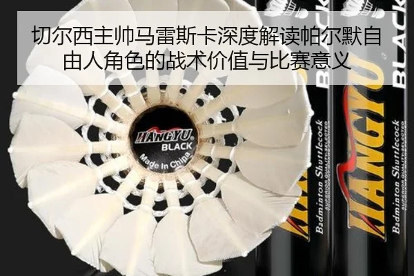 切尔西主帅马雷斯卡深度解读帕尔默自由人角色的战术价值与比赛意义